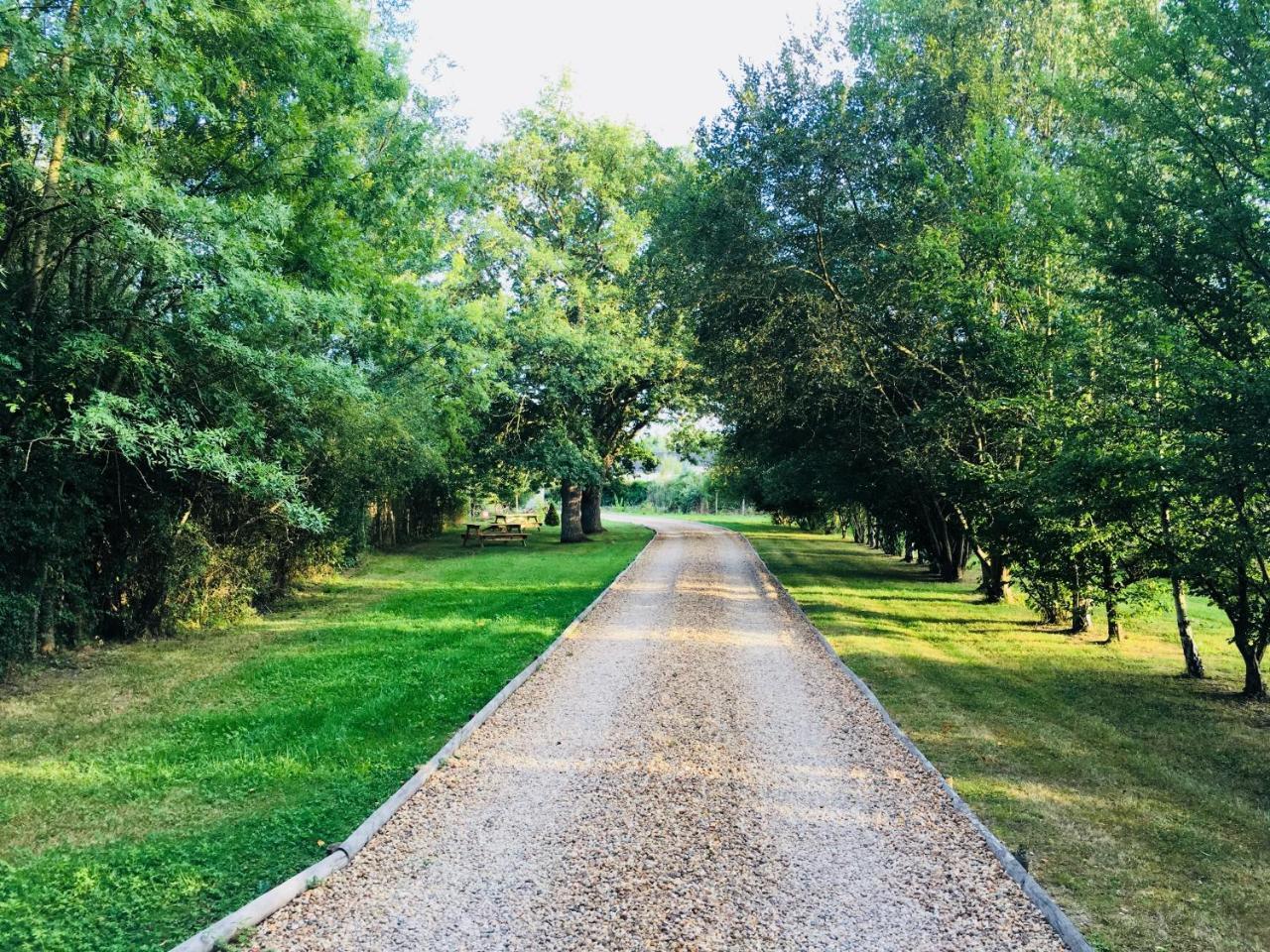 Ferme De Marpalu Bed & Breakfast La Ferté-Saint-Cyr Dış mekan fotoğraf